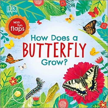 How Does a Butterfly Grow?